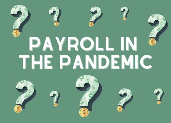 payroll in the pandemic, payroll 556x400